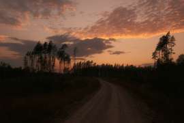 DSCF4124.jpg