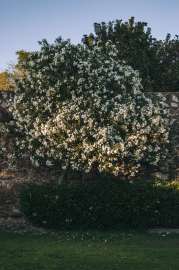 DSC1477-2.jpg