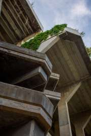 IMG0050-2.jpg