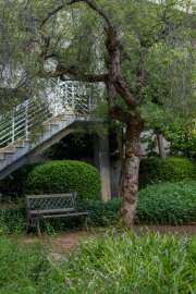 IMG0055-2.jpg