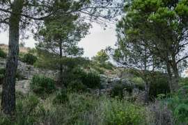 IMG1324-2.jpg