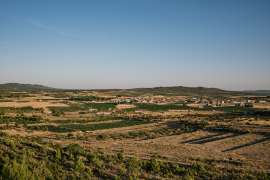IMG1336-2.jpg