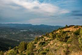 IMG1051-2.jpg