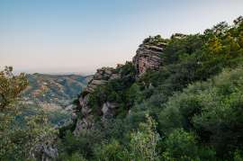 IMG1054-2.jpg