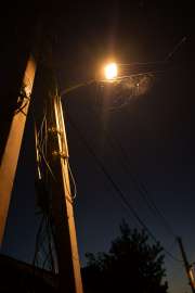 DSC7307.jpg