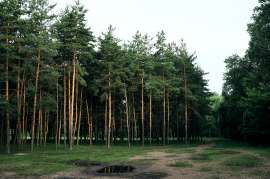 DSCF2467.jpg
