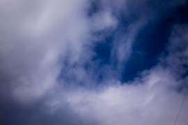 IMG1448.jpg