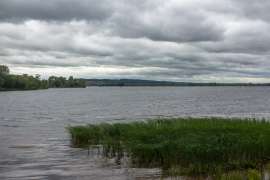 IMG0597.jpg