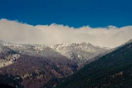 IMG0314.jpg