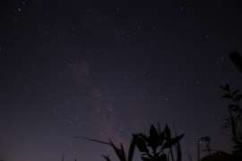IMG85651.jpg
