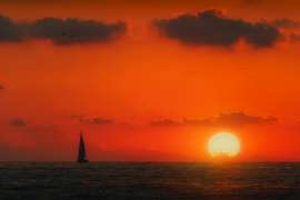 DSC05628.jpg