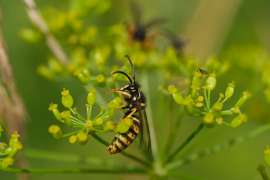 DSCF2820.JPG