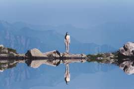 DSC06015.jpg