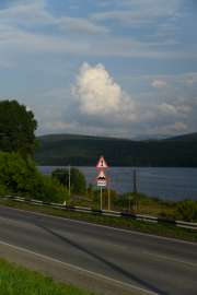 DSC0480.jpg