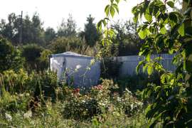 IMG3654.jpg