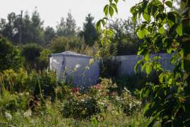 IMG3655.jpg