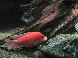 IMG4538.JPG