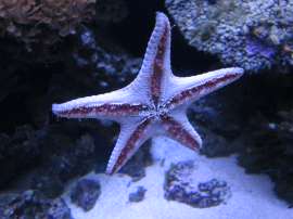 IMG4607.JPG