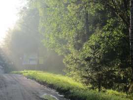 IMG3213.JPG