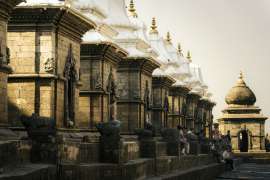 DSC01443.jpg