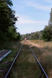 000015160029.webp