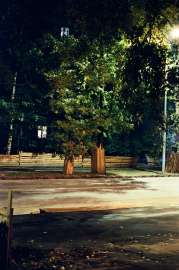 001098250022.webp