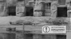 DSC0011.JPG