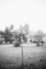 DSC3793.jpg