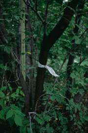 DSC3866.jpg