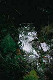DSC3879.jpg