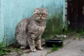 L9FsQFYG7xPWdUkb03jDs0J1Uemz1OxeklcVUb-6uUaWo7tIvMkTqgUUlFkQL4Sp35Hhvy7m8WPKv8V2baClC-9.jpg