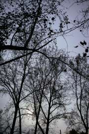 DSC3915.jpg