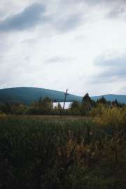 DSC4000.jpg