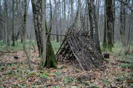 img0035.jpg