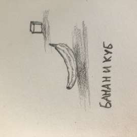 IMG5082.jpeg