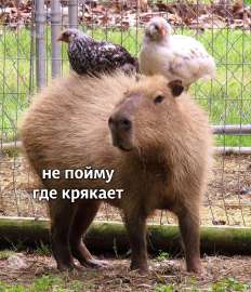 IMG3649.png