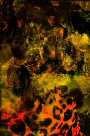 DSC02012ц2.jpg