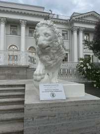 IMG5259.jpeg