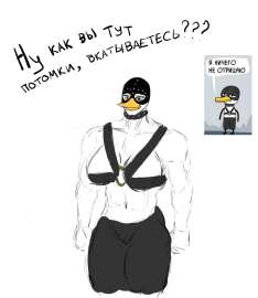 Vkat.jpg
