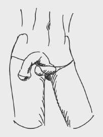1trapbikinihorsedick.jpg