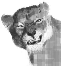 1girllioness.jpg
