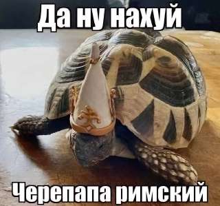 3da5fb2d83a658beba8e485a38df5027.jpg