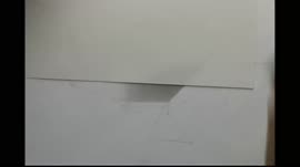 скот.webm