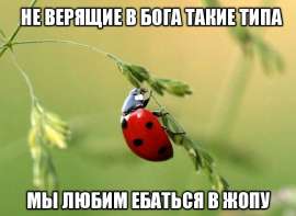 IMG20250703093931761.jpg