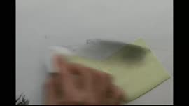 скот.webm