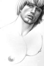 sketch-tom-of-finland-431x636.jpg
