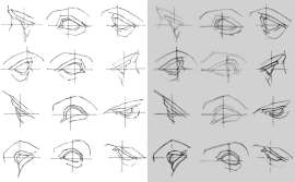 eyes260825.png