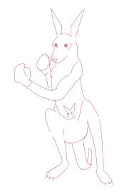 kangaroo.jpg
