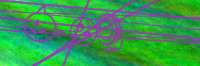 Untitled.png