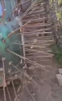 Буханка Еж.mp4